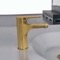 Matte Gold Single Hole Bathroom Faucet