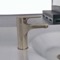 Brushed Nickel Single Hole Bathroom Faucet