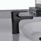 Matte Black Single Hole Bathroom Faucet