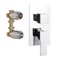Shower Diverter with 2 Positions on Single Flange, Rough-In Valve Included