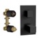 Matte Black Thermostatic Two Way Diverter