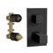 Matte Black Three Way Thermostatic Diverter on Single Flange