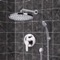 Chrome Shower System with 8