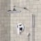 Rain Shower System with 8