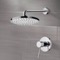 Rain Shower Faucet Set