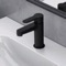 Matte Black Single Hole Bathroom Faucet