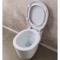 Modern Wall Mount Toilet, Ceramic, Rounded